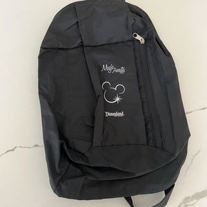 Disneyland Day pack